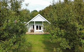 Chalet comfort - vakantiepark de Schreiershoek
